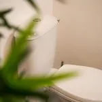 Chez Elsa, Confortable Neuf Avec Parking Prive * Saint-Valéry-sur-Somme